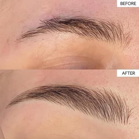 Before and after close-up of an eyebrow, showing a sparse brow and then a fuller brow with fine