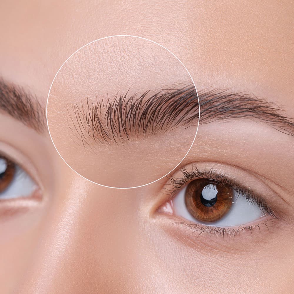 Permanent Brows example 3